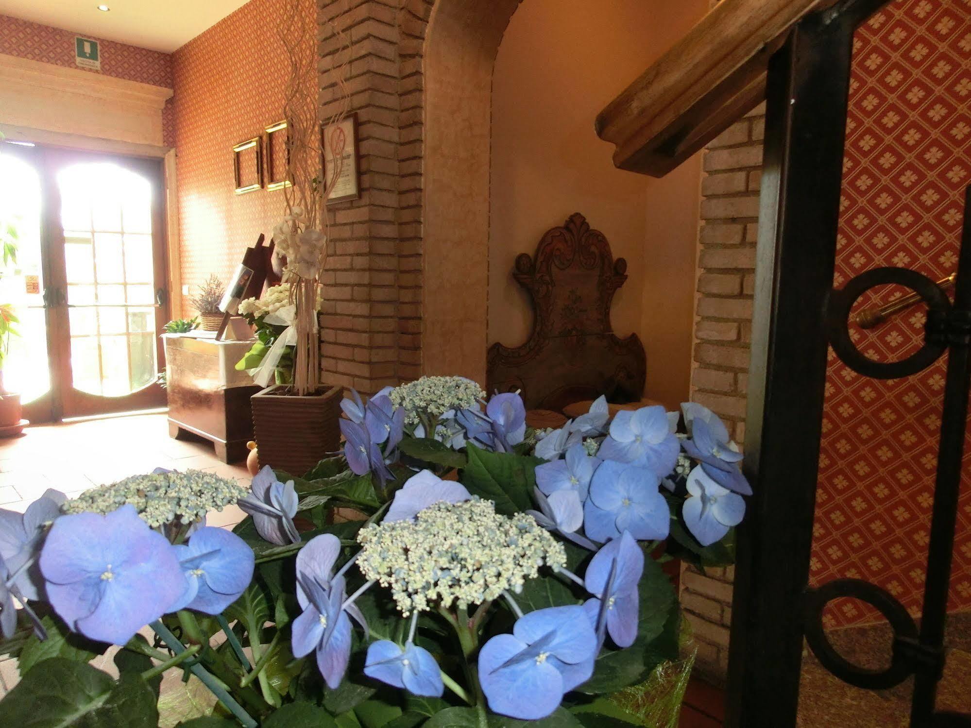 Hotel Girasole Civitanova Marche Exteriér fotografie