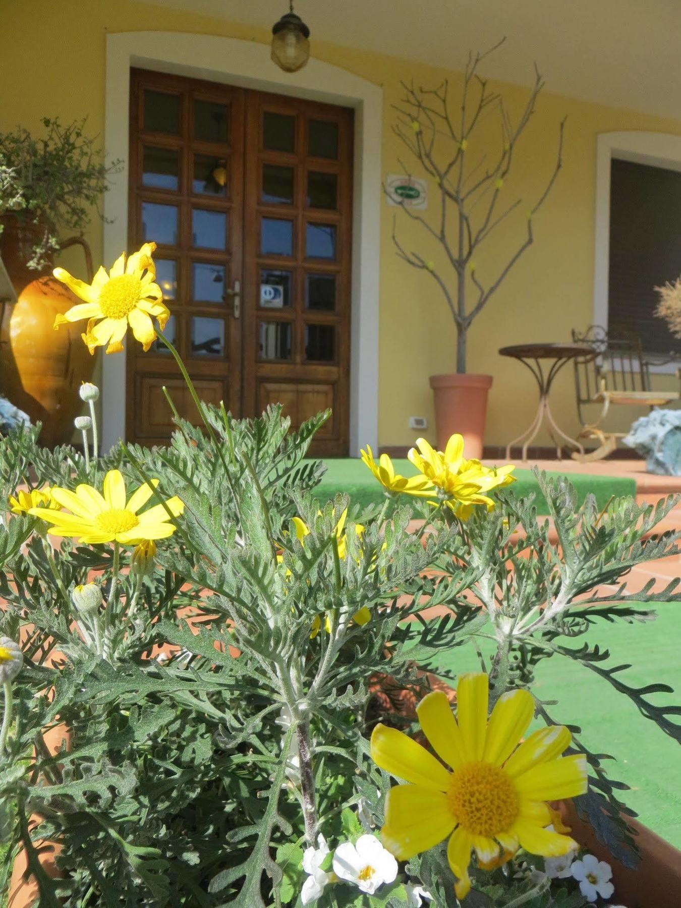 Hotel Girasole Civitanova Marche Exteriér fotografie